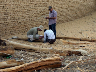 Typická lokalita termita Psammotermes: kozí chlívek